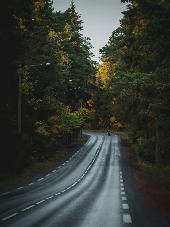 a lone man standing on the side of a tree lined road