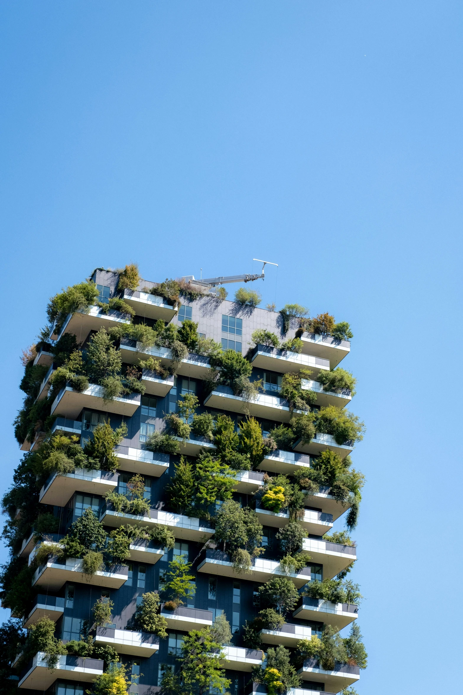 the building has trees growing on it and balconies