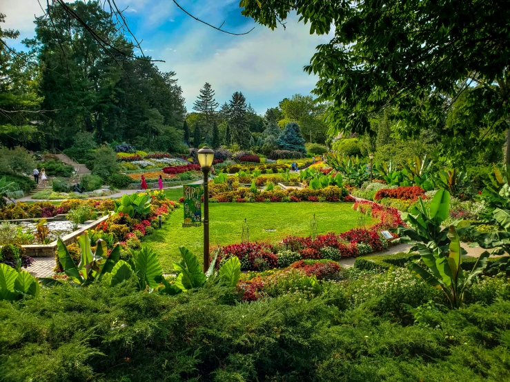 a garden with flowers and a lot of trees