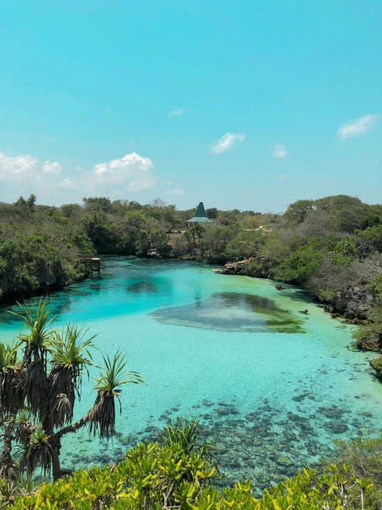 a large body of water surrounded by lots of trees