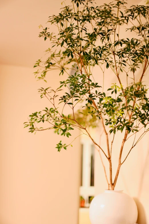 a vase with small tree inside of it