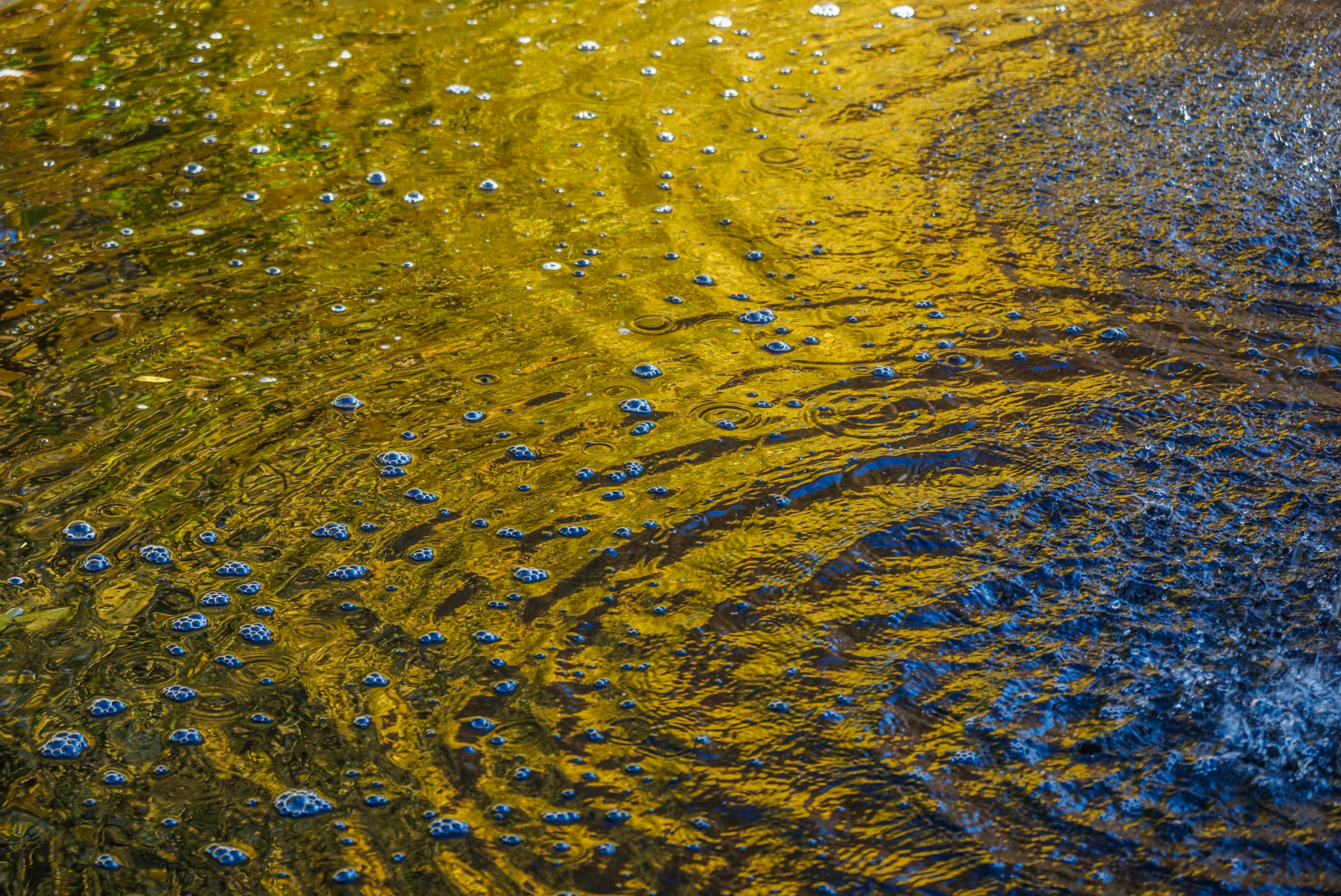 a dle of water in the mud, some dirt and grass