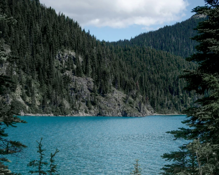 some pine trees and a lake surrounded by mountains