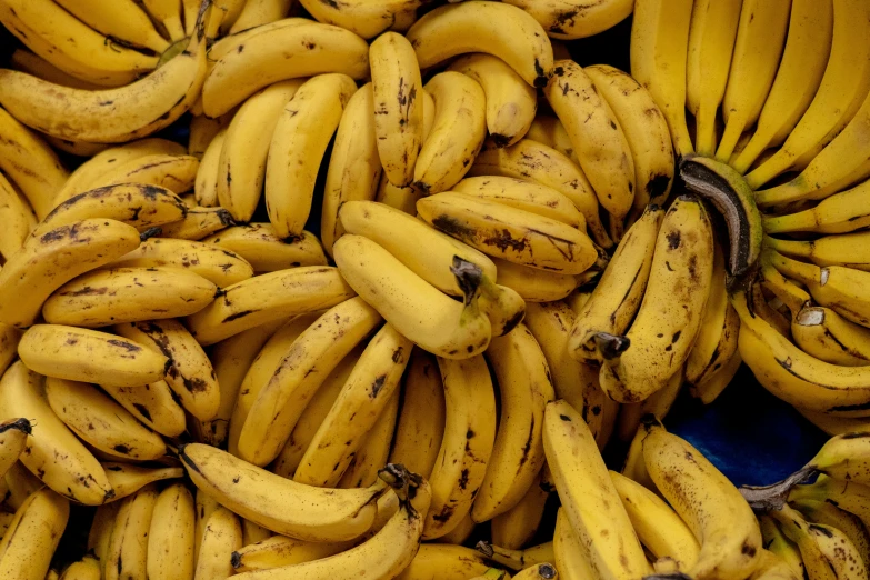 a bunch of bananas laying in a pile