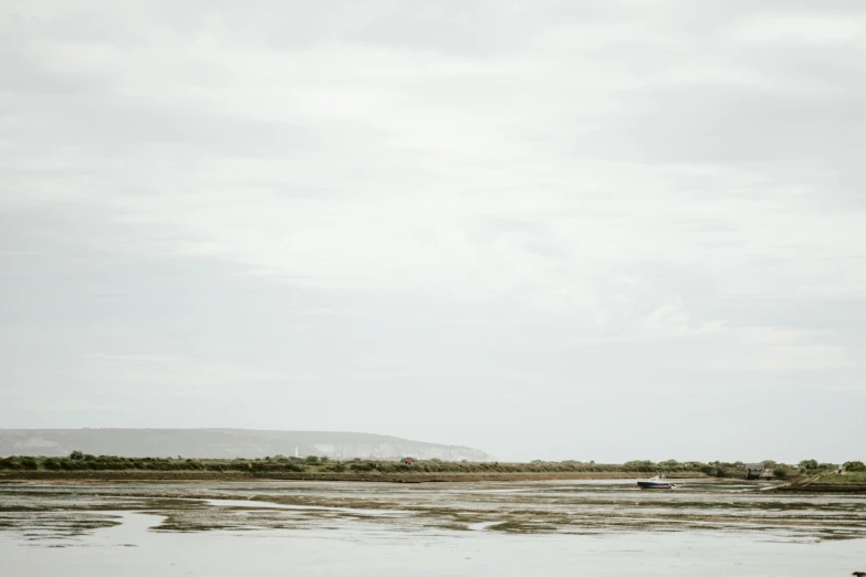 a single water bird sits on the bank of a beach