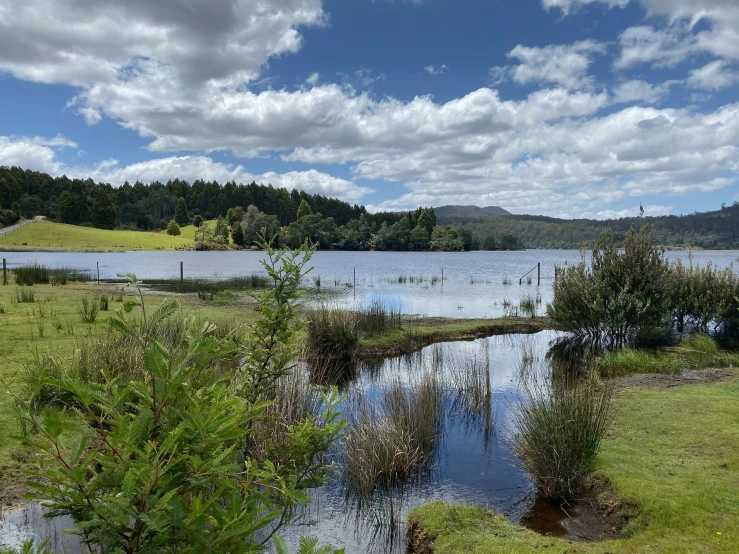 a pond in a field with a view of a lake in the background