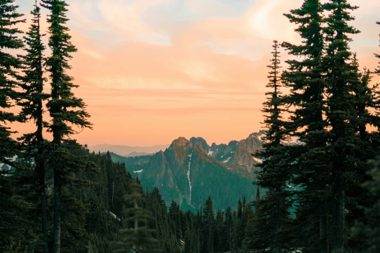 there is trees in front of some mountains