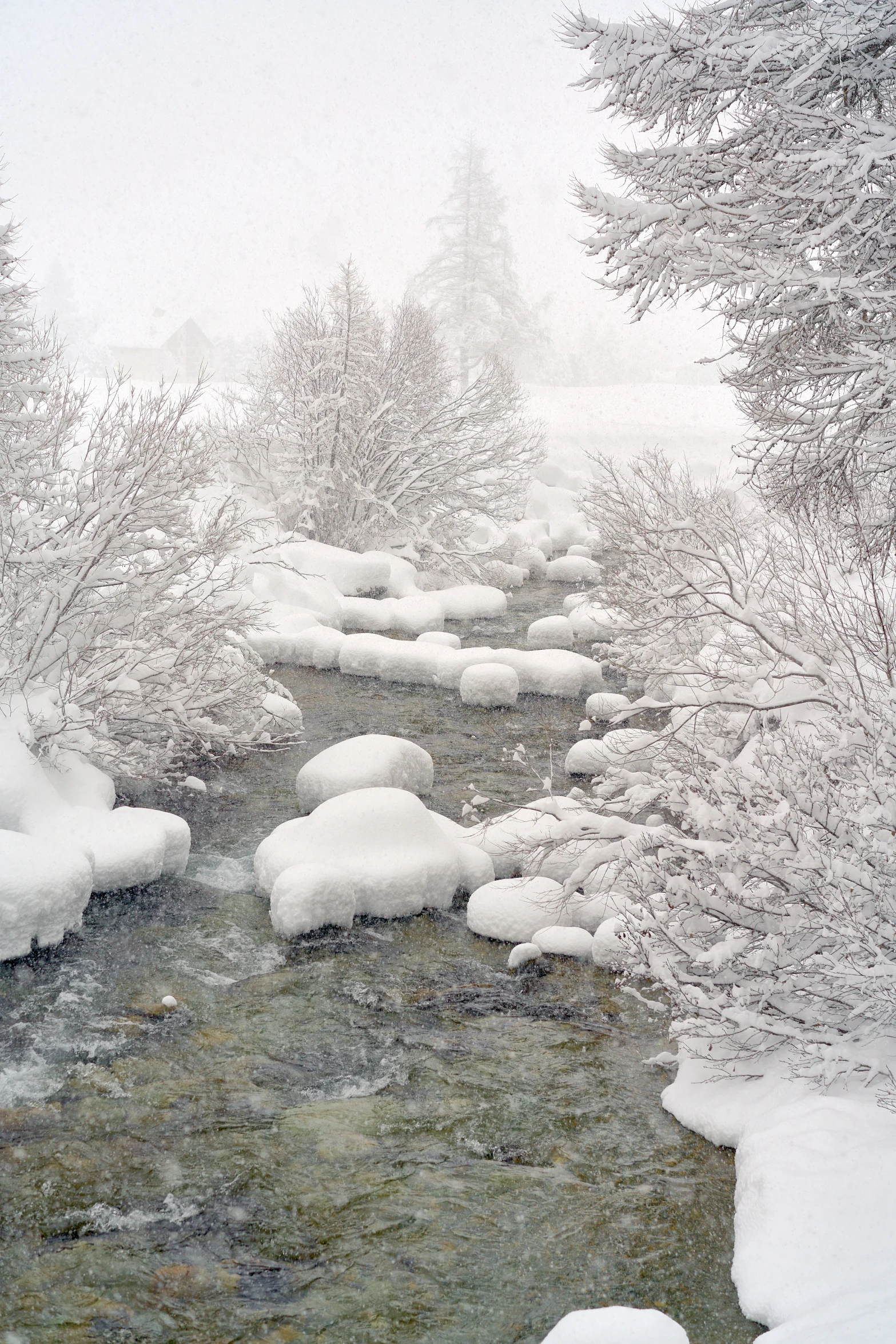 the river is surrounded by snow and trees