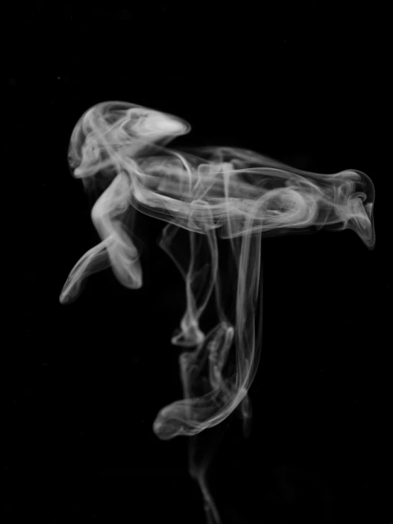 a smoke sculpture on a black background