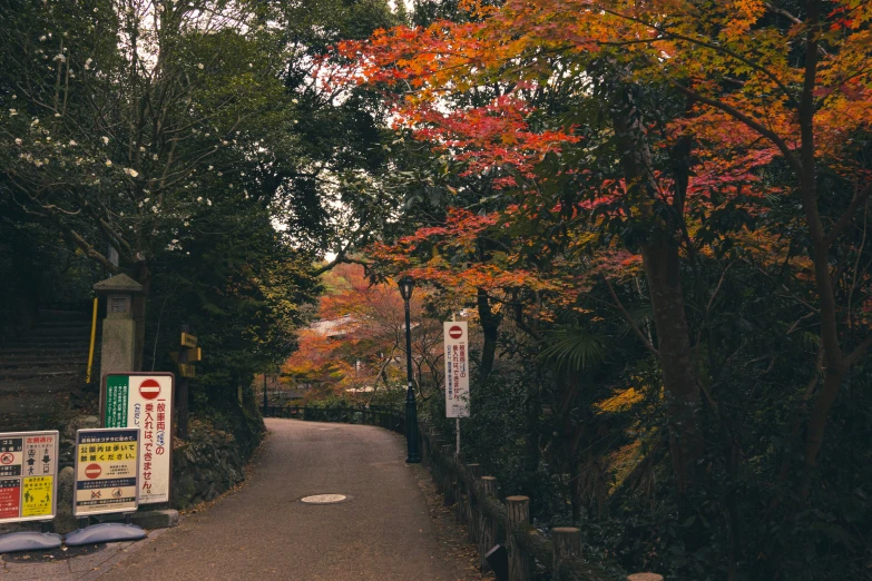 a small path with banners on the sides of it