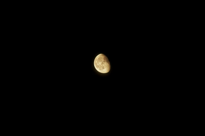 a po taken from the ground shows a half moon with a black background