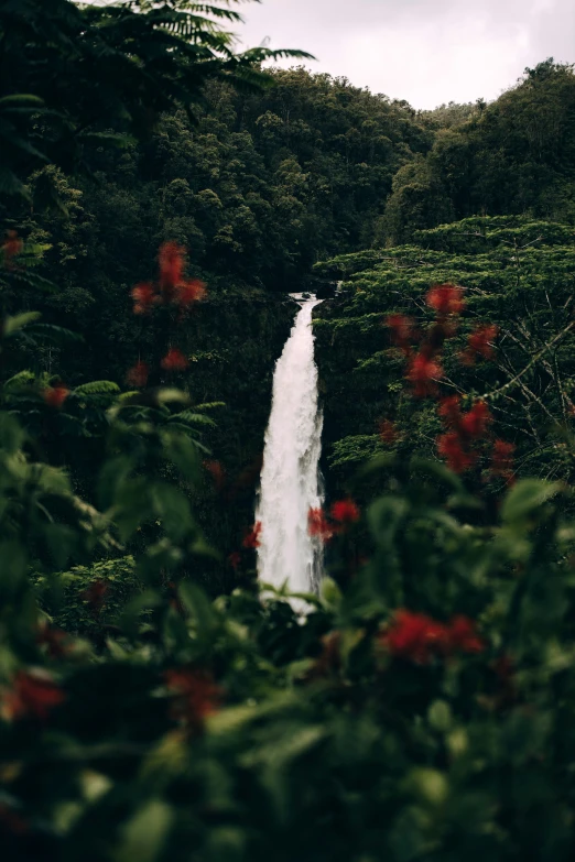 a water fall with red flowers on the trees in front