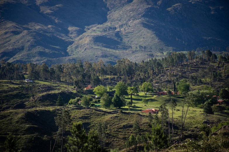 a lush green valley in the middle of mountains