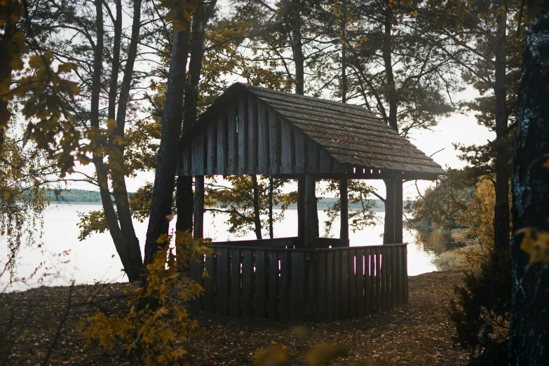 an out house sits in the woods by the water