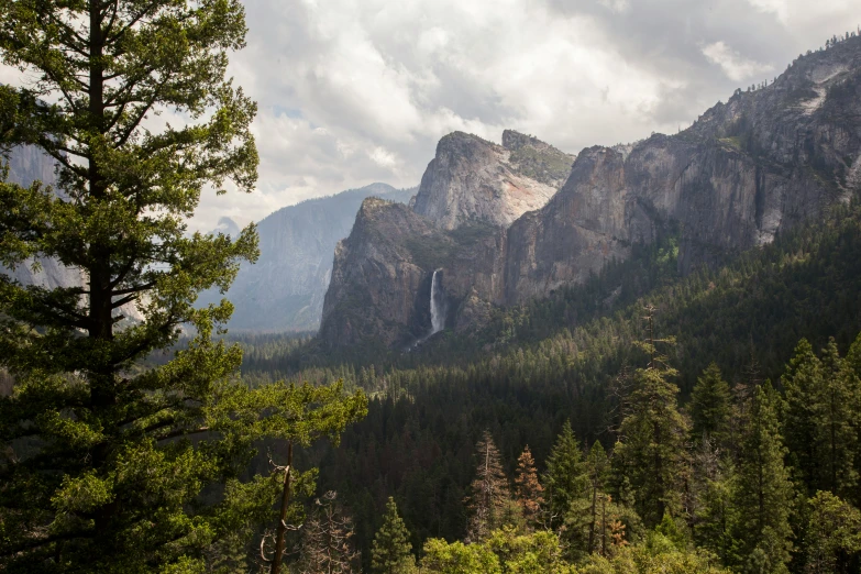 mountains with trees and a waterfall surrounded by clouds