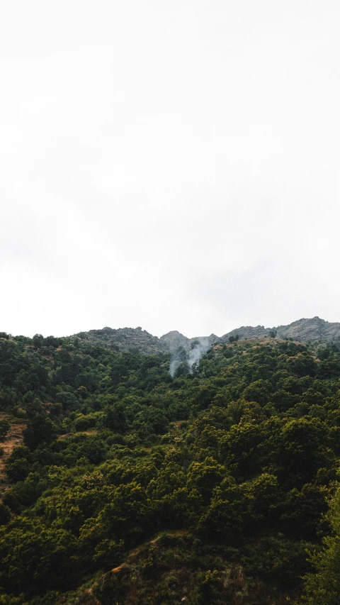 a plane flying over a lush green hillside