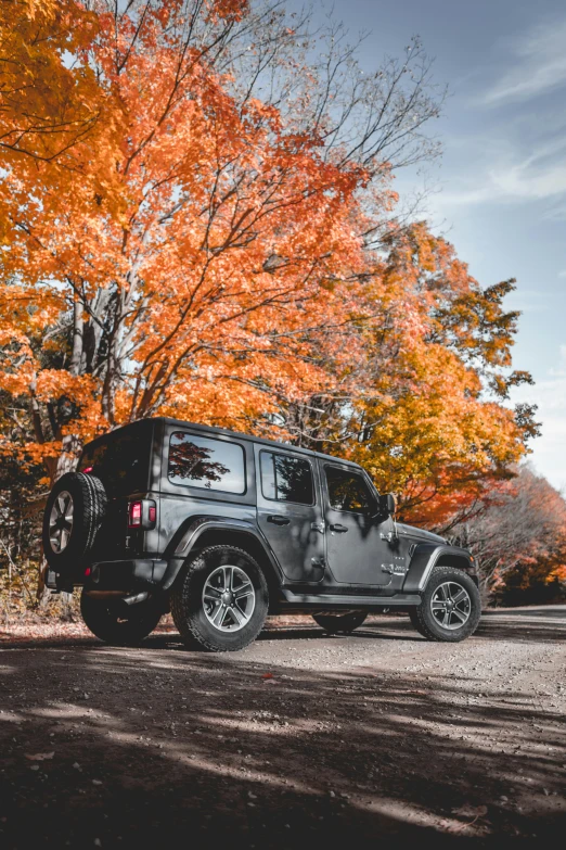 a jeep parked on the side of the road in front of a colorful tree