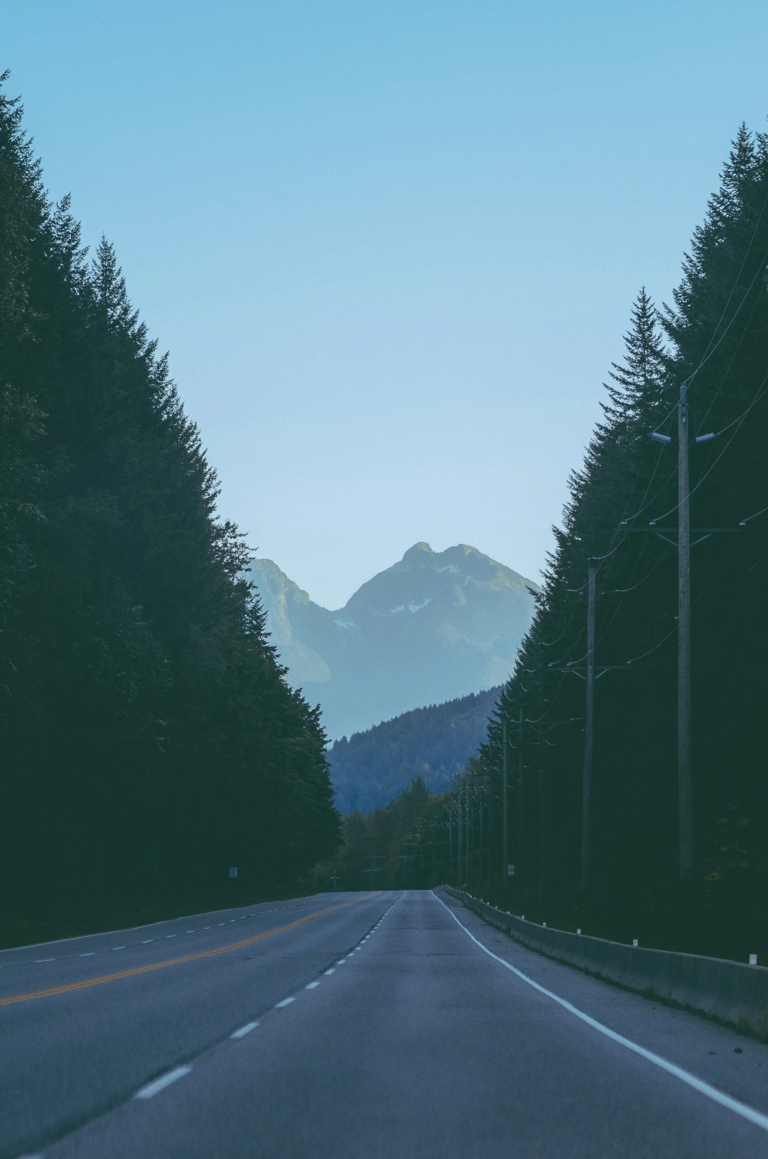 a blue sky is above a road with pine trees