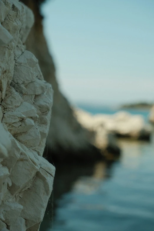 a bird sits on the side of a rock