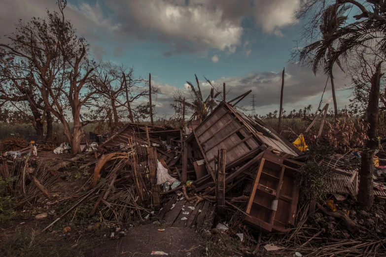 a pile of trash in a forest with trees and sky