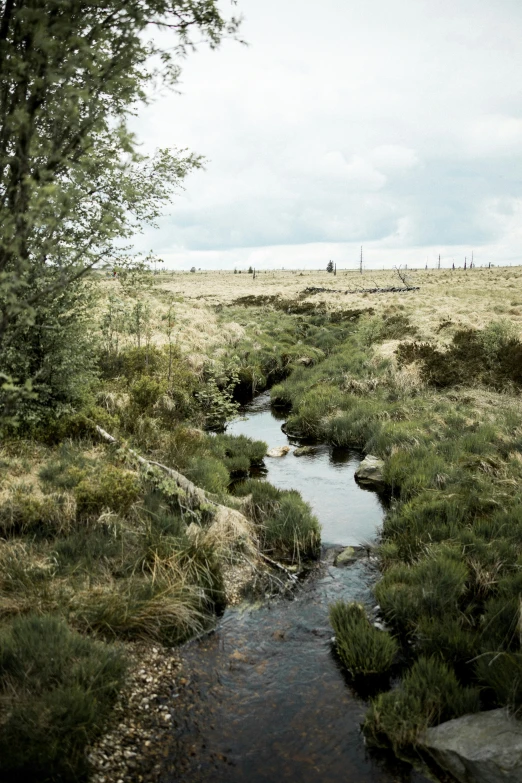 an open grassy field with a creek and rocks