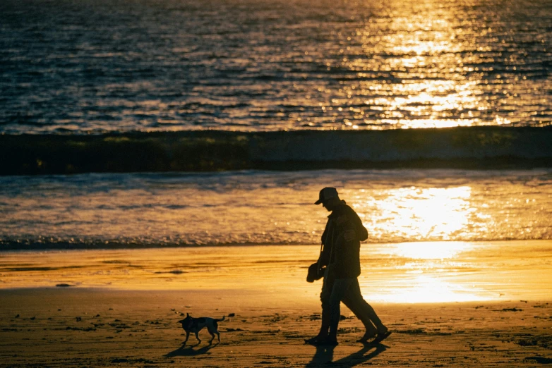 a man and his dog on the beach at sunset