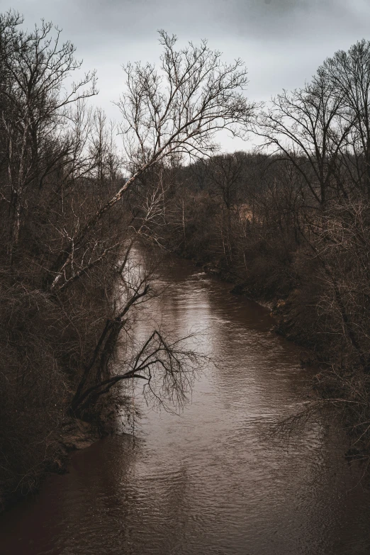 a stream running under cloudy skies in the woods