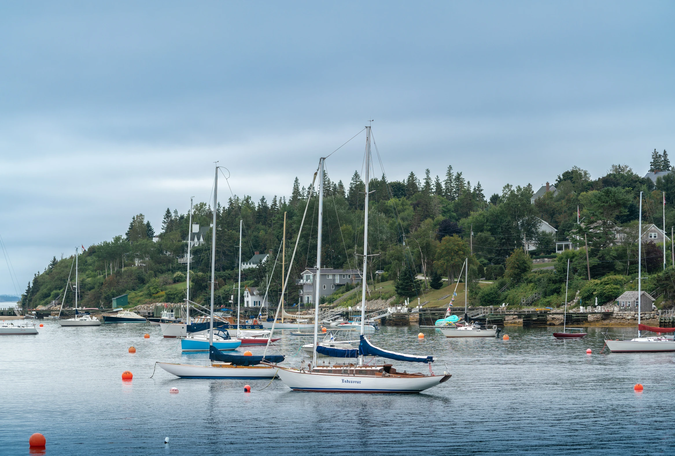 a harbor full of boats and trees in the background