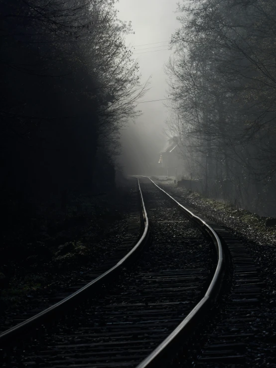 a train track in the middle of the woods in the mist