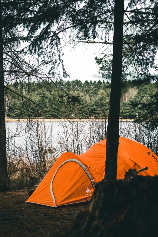 a tent next to some water in the forest