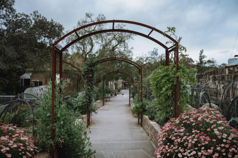 a pathway with several flowers and trelliss around it