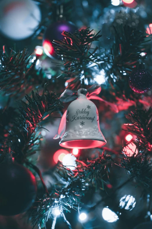 a bell that is hanging from the tree