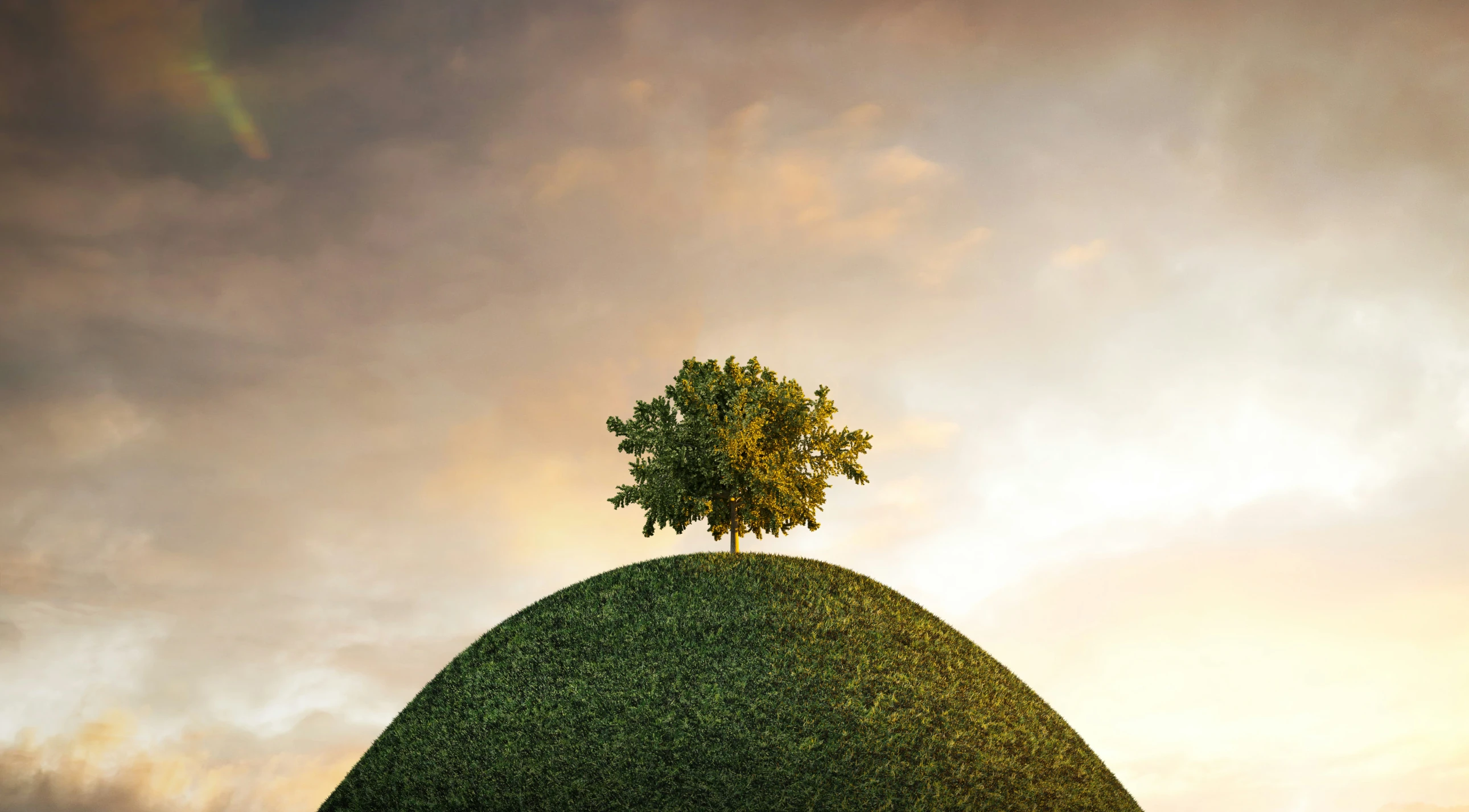 tree sitting on top of top of green mound