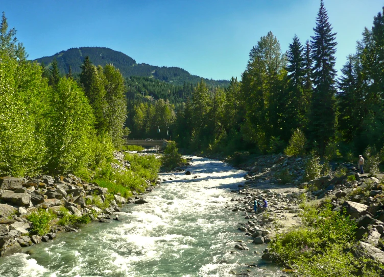 water that is flowing down some rocks in the middle of some trees