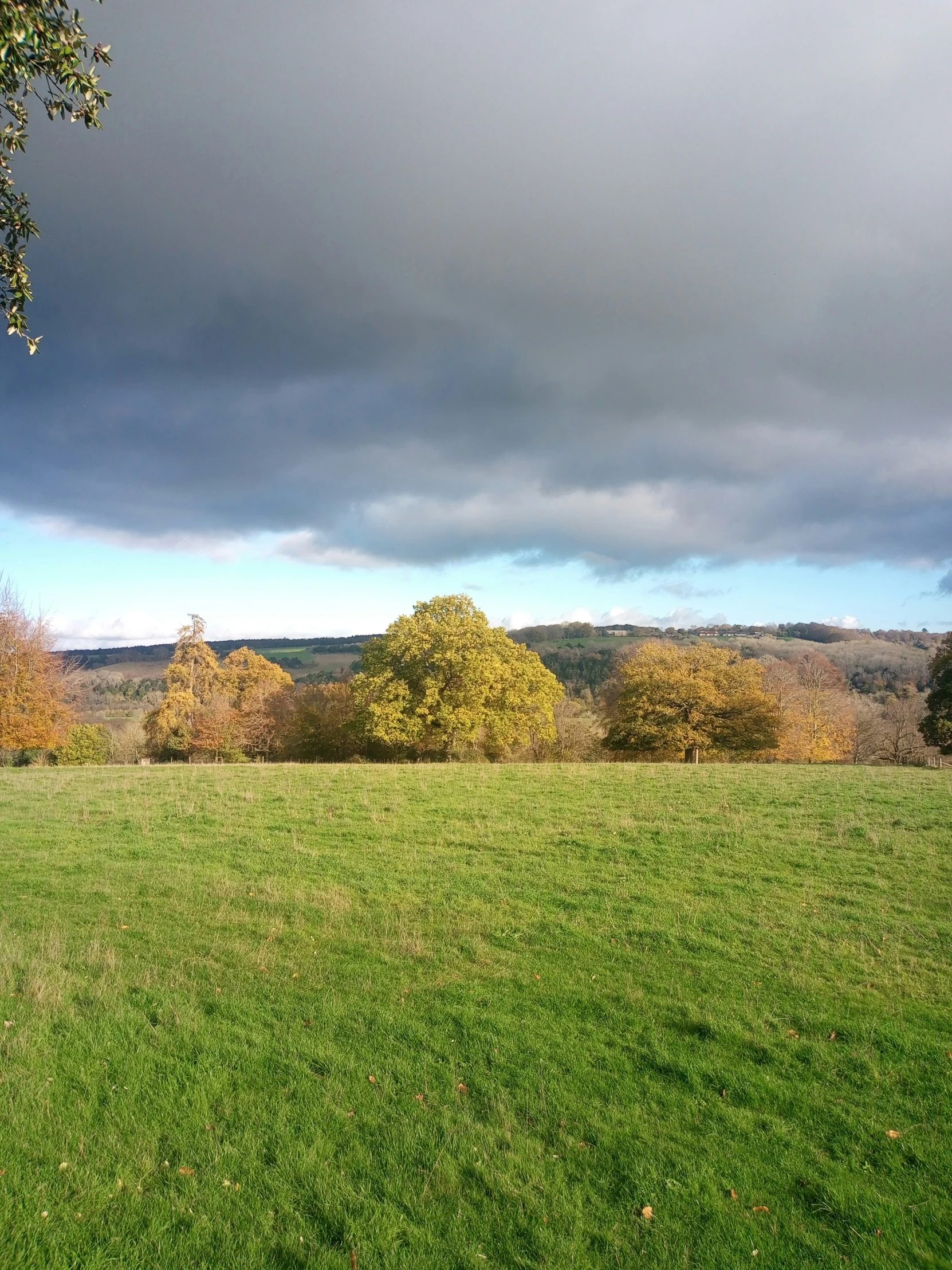 a green field with trees and grass