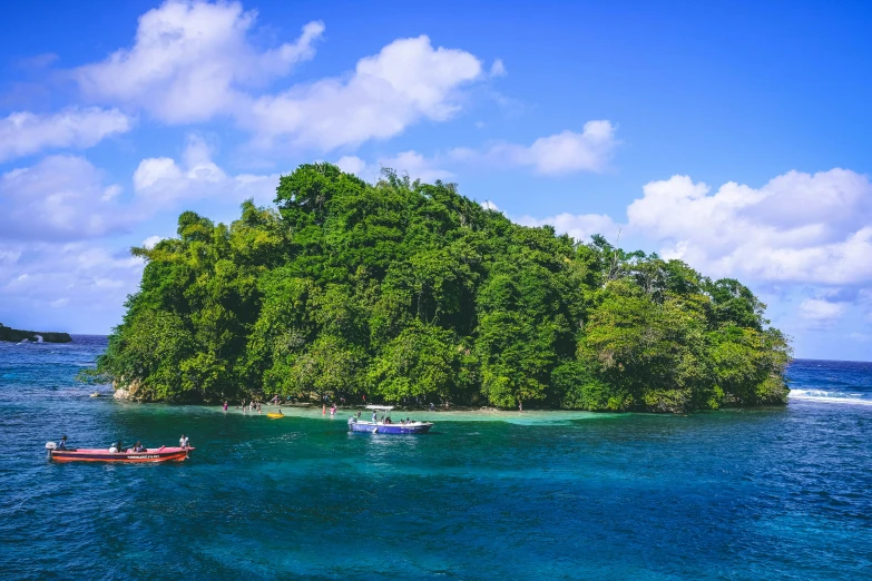 an island surrounded by some trees with people rowing on top of it