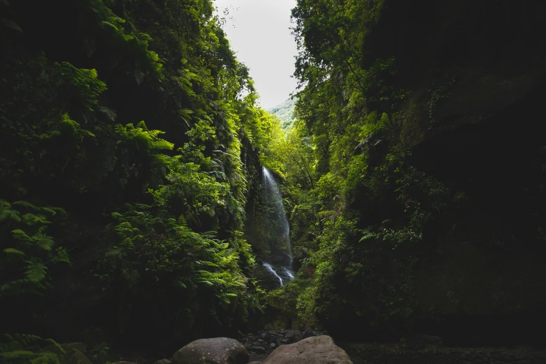 there is a waterfall on the side of the road