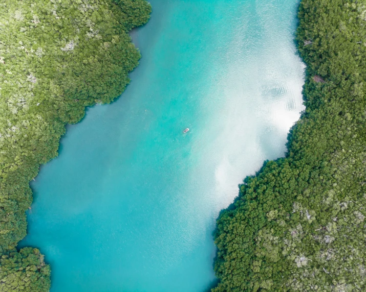 an aerial view of a lake, with a kayaker at a shoreline and a green forest in the distance