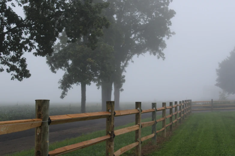 fog covering trees and grass behind a fence