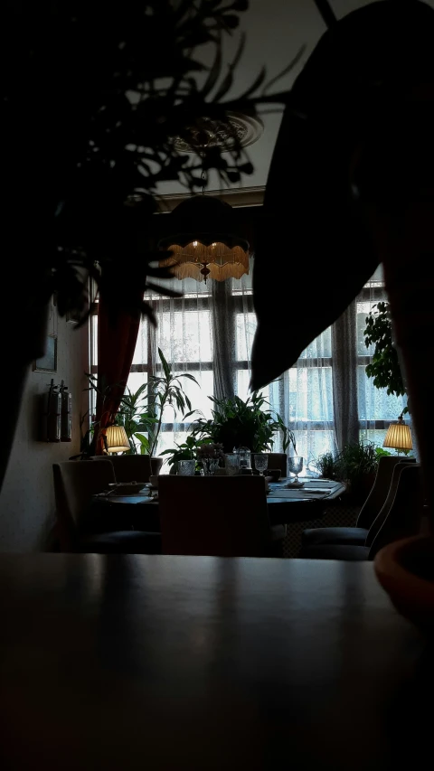 a very dark room with big window and potted plants