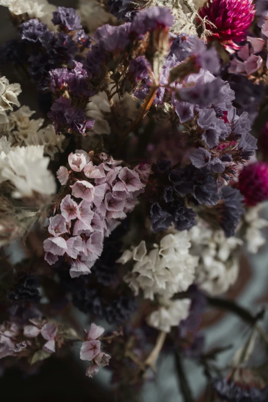 a bunch of different colored flowers together