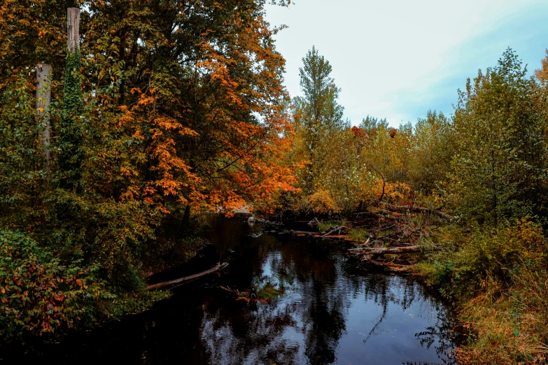 a creek is flowing under a wooded sky line