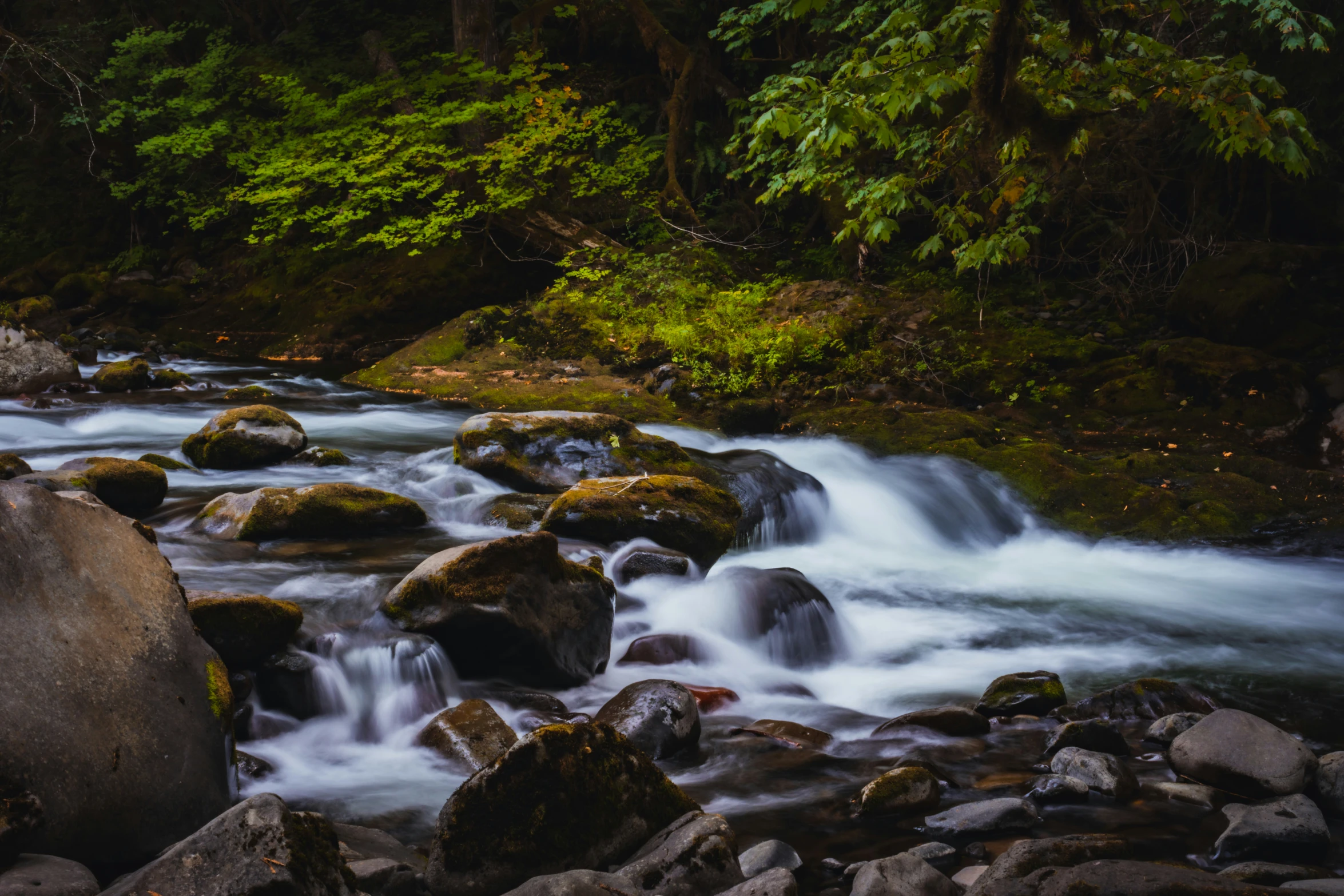 stream rushing down rocks with trees in the background