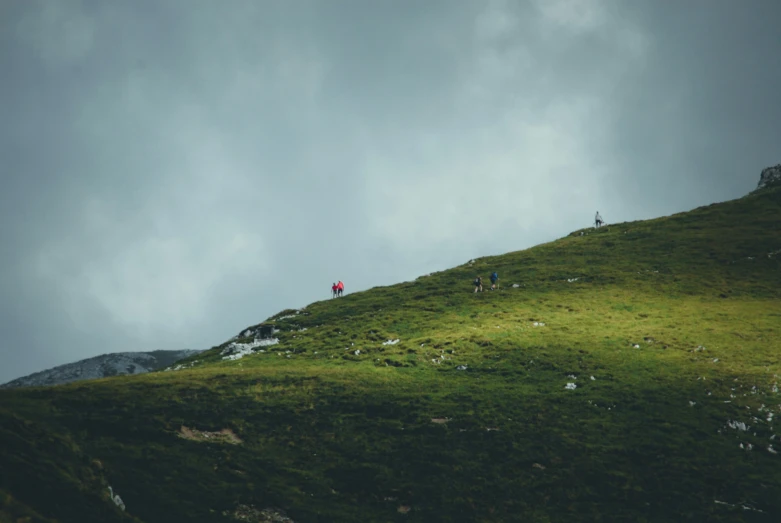 a grassy mountain with some people walking up