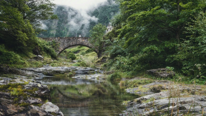 an old bridge spanning over a river in the forest