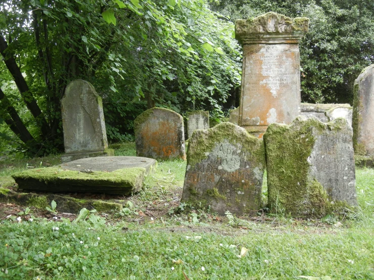 many moss covered graves stand in the grass