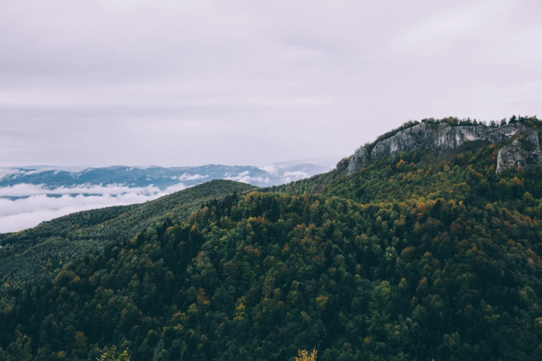 a mountain with forest on it is surrounded by fog