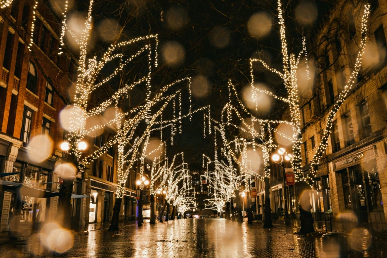 an image of city street with christmas lights