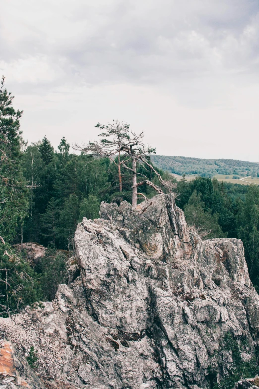 large rock sitting in the middle of a forest