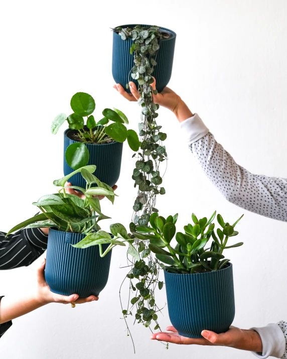 several people are holding up plants together